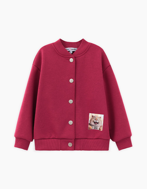 Вид спереди