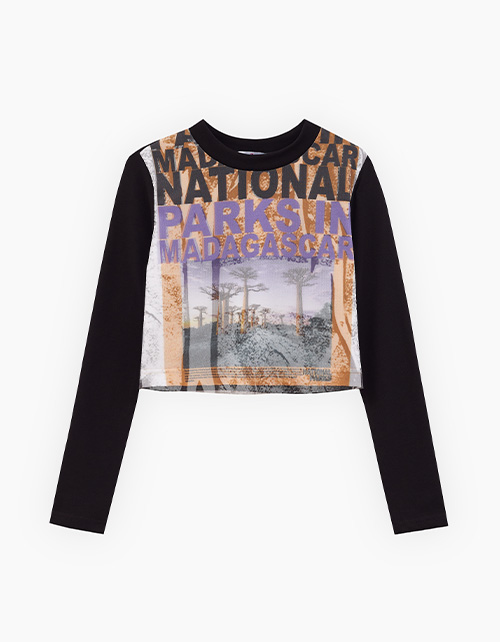 Вид спереди