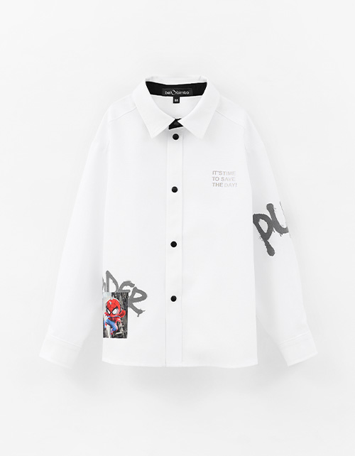 Вид спереди