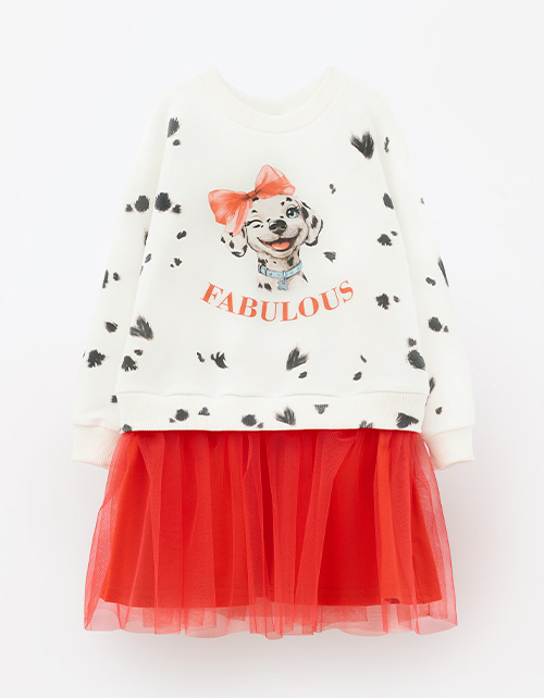 Вид спереди