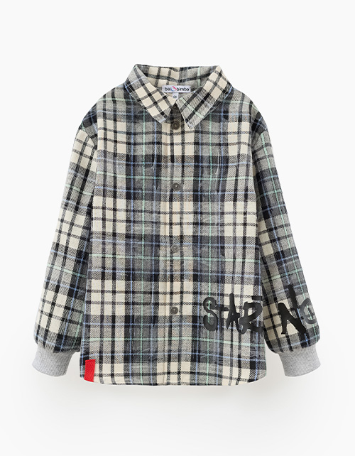 Вид спереди