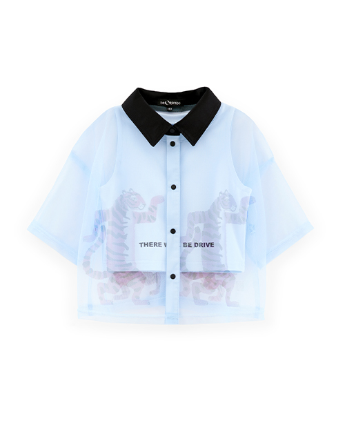 Вид спереди