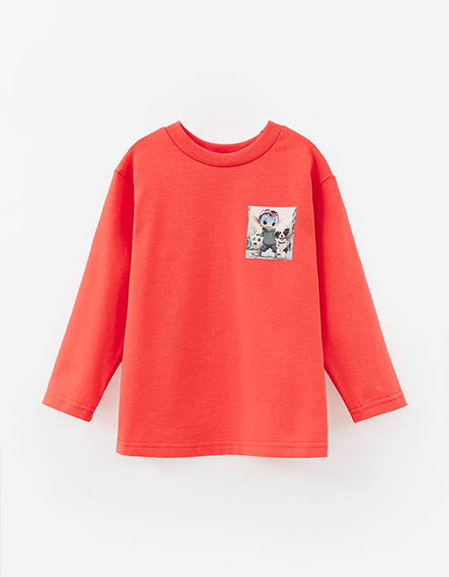 Вид спереди