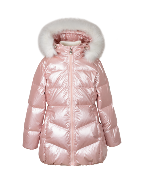 Вид спереди