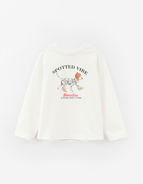 Вид спереди