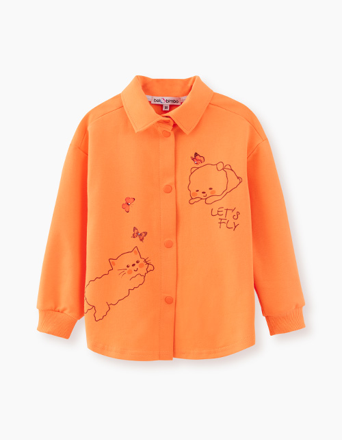 Вид спереди