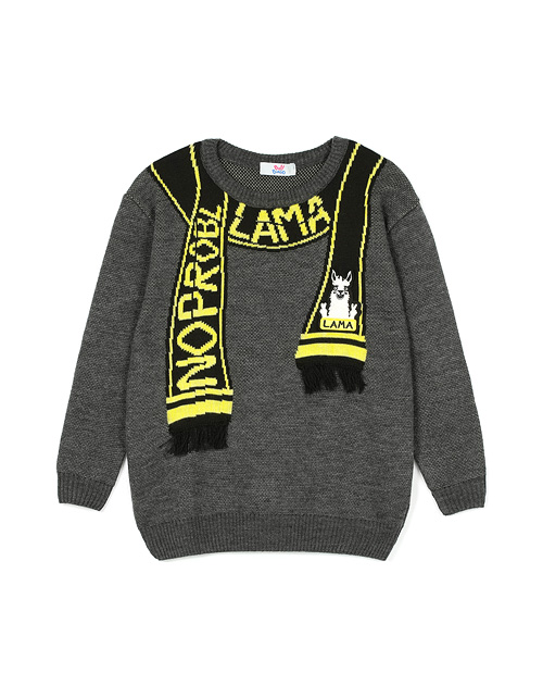 Вид спереди