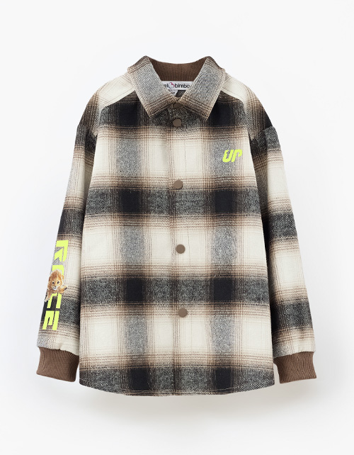 Вид спереди