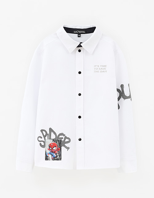 Вид спереди