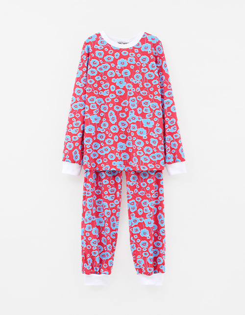 Вид спереди