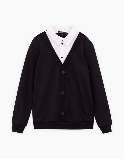 Вид спереди