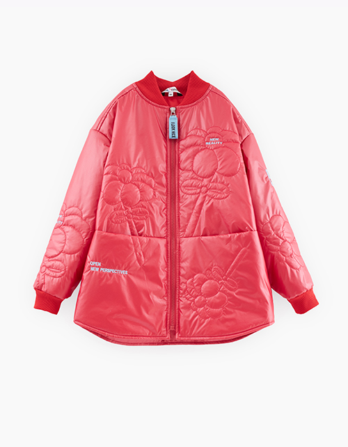 Вид спереди